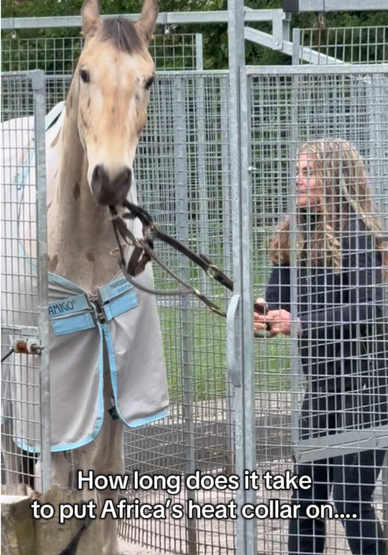 Turning out is never a 2 minute thing!! 🤣 . #equine #horse #famous #equestrian #equestrainlife #horsepower #TeamTGF #feelingfabulous #apaloosa #horsetiktok #horseriding #horsetiktoks #helpthisgoviraltiktok #britishshowjumping 