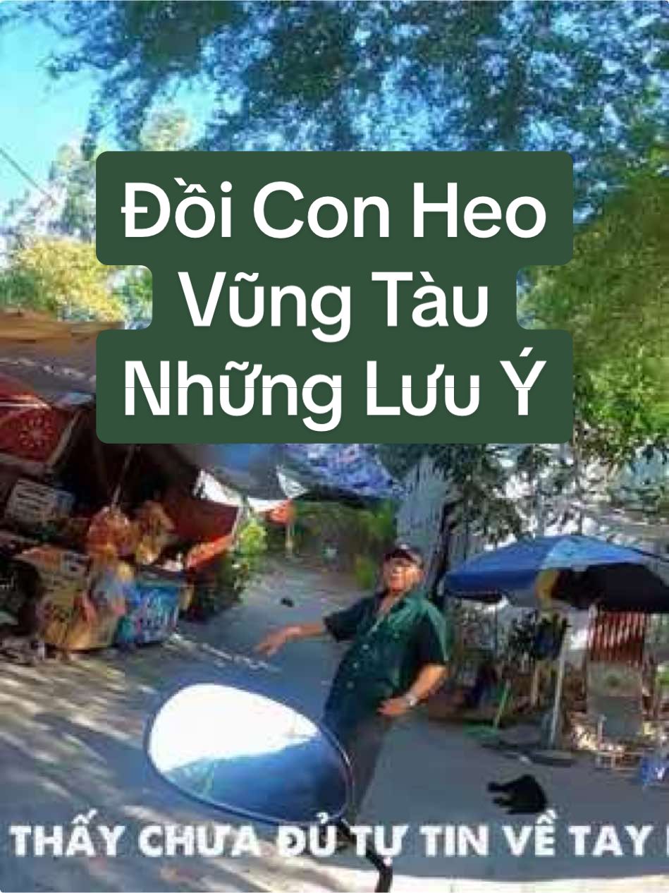 Vũng Tàu | Đồi Con Heo có gì chơi ? 🤦🏻‍♂️Người ta hay nói “Bụt nhà không thiêng”, tính ra nếu không đi quay clip thì 4-5 năm rồi Khang mới quay lại Đồi Con Heo.  Nhưng thật vui vì nó vẫn còn nét hoang sơ, tự nhiên như hồi đó.  Hi vọng clip có ích cho kì nghỉ của mọi người, nếu có tò mò về địa điểm nào ở Vũng Tàu thì mọi người cứ cmt, có thời gian Khang đi quay cho mọi người xem nhé.  ——————— #vungtau #dulichvungtau #doiconheo #vungtautrip  #khangtadaa