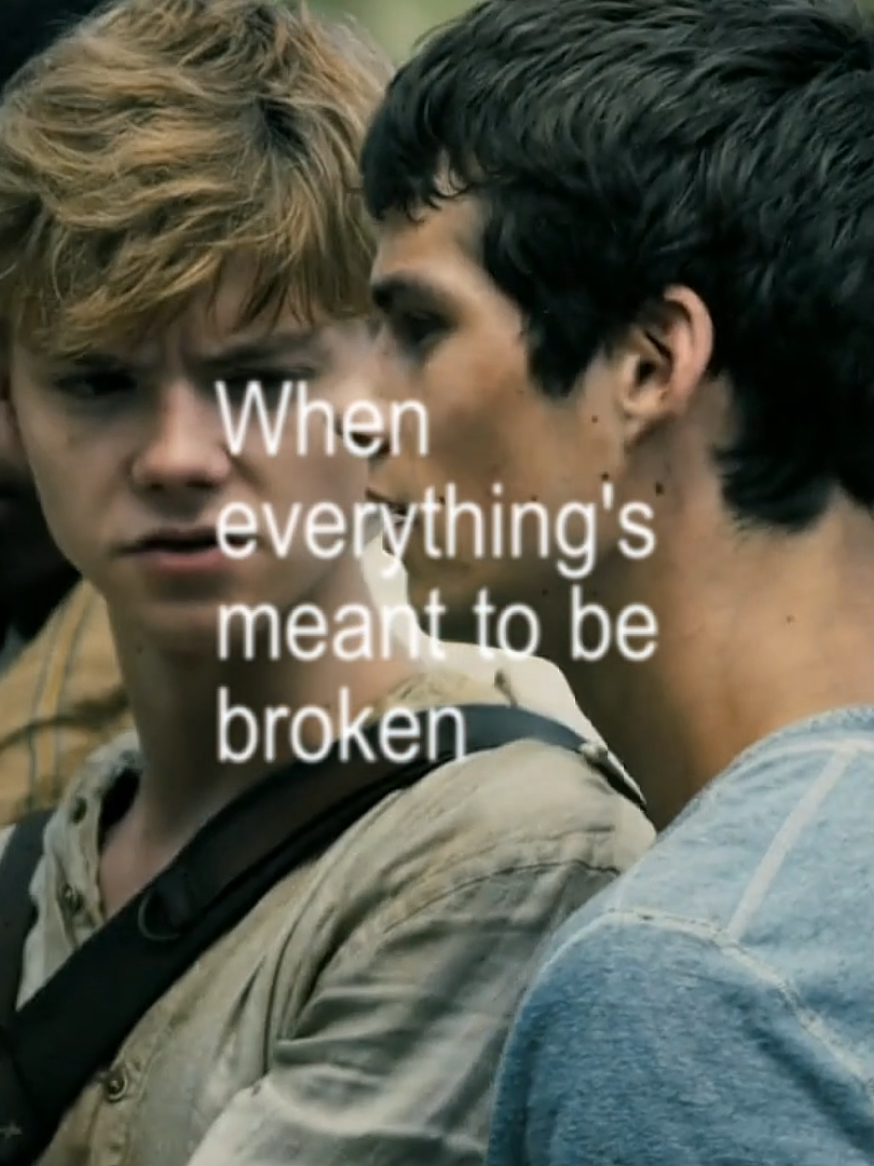 please tommy... — #Newt & #Thomas ib: me clips: @swansspcs on insta | #newtmas #mazerunner #irisgoogoodolls #iris #trend #thomasbrodiesangster #dylanobrien #ship #cute #foryoupage #viral #blowthisup #fyppls  made by :: #tmzeditq 