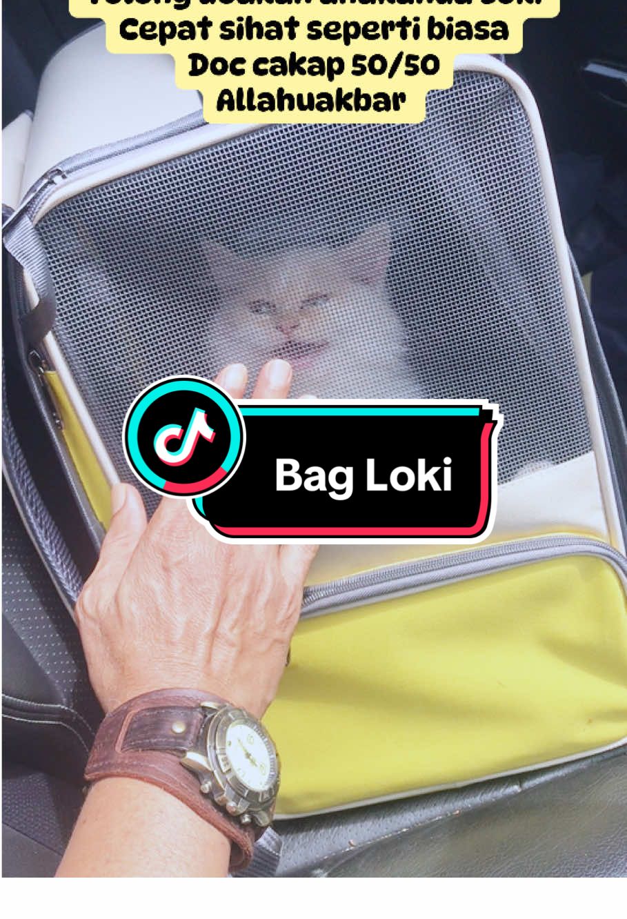 Ini laa moment yang paling ibu ayah tak suka bila anak bulus sakit #petlover #pet #petlovers #pets #doglover #dog #petsofinstagram #dogsofinstagram #petstagram #dogs #catlover #doglovers #cat #petshop #animals #cats #puppy #doglife #catsofinstagram #Love #petfriendly #instadog #cute #instapet #animallovers #animal #dogoftheday #petlife #petlove #petphotography #puppylove #dogstagram #catlovers #petcare #animallover #instagram #catlife #petoftheday #petsagram #doglove #animalsofinstagram #mascotas #puppies #ilovemydog #petgrooming #catstagram #petstore #cachorro #of #cuteanimals #meow #instagood #kitten #cutepets #sugarglider #puppiesofinstagram #dogfood #dogmom #instacat #petsitter 