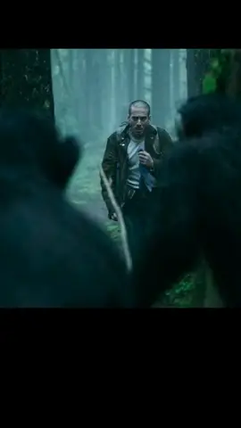 action movies 2025 #movie #actionmovie #fyp #bestmovies #topmovie #film