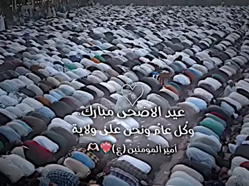 كُل عَام وَنَحنْ عَلىْ ولاية أمَيٍر المؤمنين 💞🫶🏻. #acc #relatable #foryoupage #fyppppppppppppppppppppppp #viral #foryou #fypシ #dancewithpubgm #viralvideo #viralvideo #المصمم_علي🚸 #الامام_علي_بن_أبي_طالب_؏💙🔥 #الامام_العباس_عليه_السلام🍂 #الامام_العباس_عليه_السلام🍂 #ياحسين_ياشهيد_كربلاء #الامام_الحسين_عليه_السلام #الامام_العباس_عليه_السلام #القادم_افضل_بأذن_الله🙏🖤،