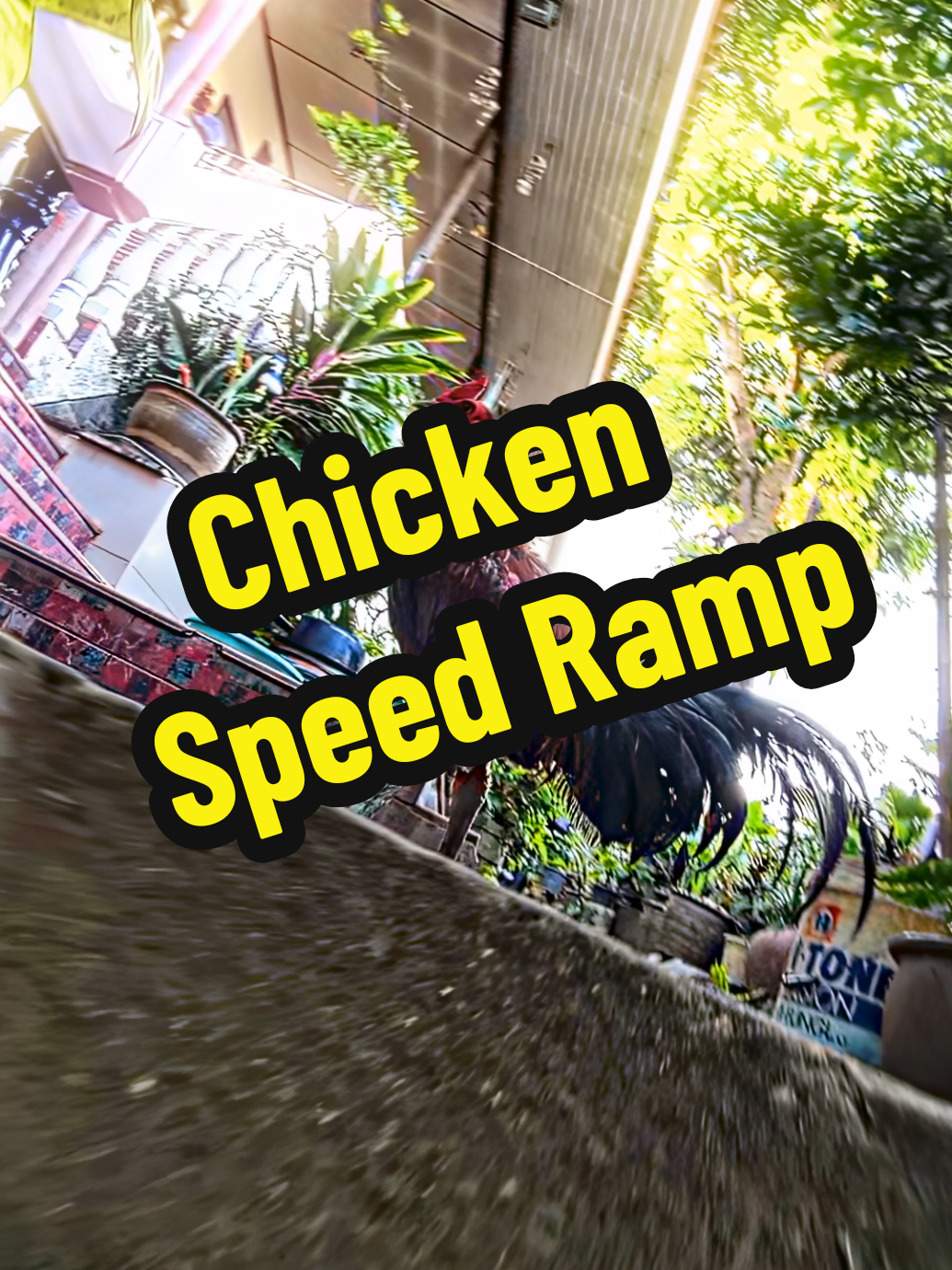 chicken Edit 😂  #yeeddoww #speedramp #edit 