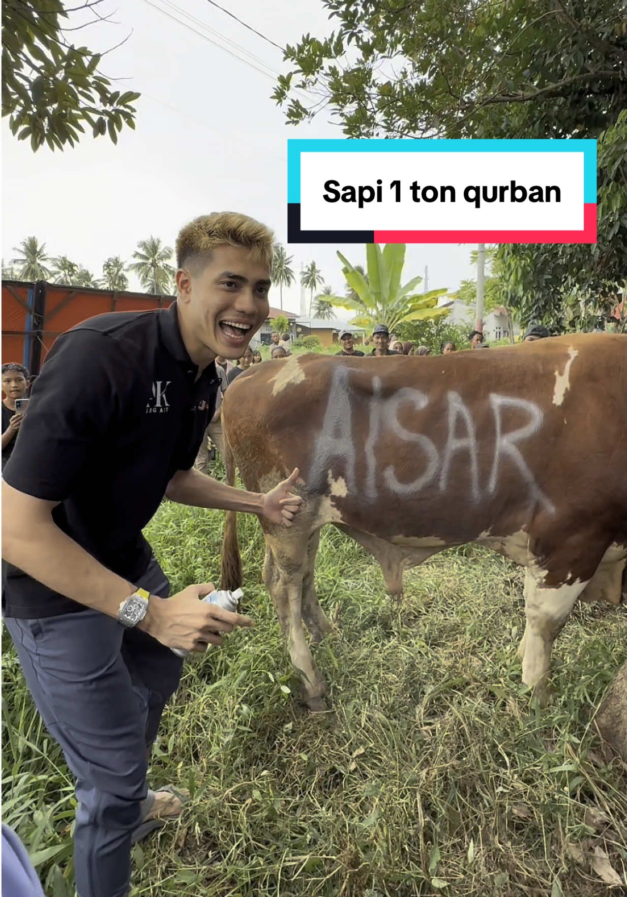 LEMBU SAPI 1 TON