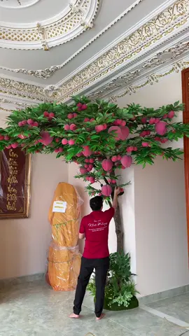 Bàn giao cây trái đào tiên cho Khách 🫶🏻#hoavainhatkhang #hoaluacaocap #xuhuong #trangtri #decor #viral #trending #shophoasaigon #cayxanh 