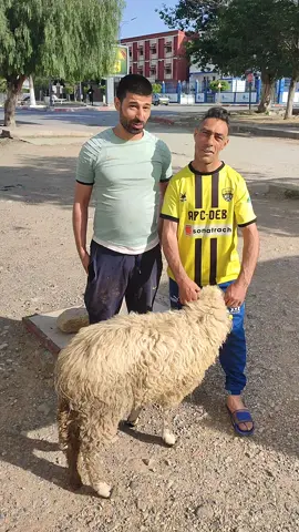 Choucha Eid moubarak Shosha International célèbre l'Aïd al-Adha. Que Dieu accepte nos bonnes actions et les tiennes, ô Seigneur des mondes.#international #algeria #france #italy #soudiarabia #qatar #iraq #humor #explore #fyp #brazil🇧🇷 #international #dlaciebie #dog #dúo #germany #tik_tok #footballtiktok #sport #footballtiktok #pakistani_tik_tok #fyyyyyyyyyyyyyyyy #fouryou #pourtoii #pourtoi @ChouChaa The Gota🏅 @❤️Football CHOUCHA 🥇🇩🇿 @Chouchaa Officiel 2🥇 @Chouchaa Officiel 2🥇 @chouchaa foot🇧🇷🥇 