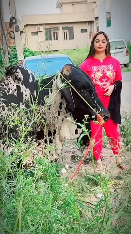 Rab tha zahad to dar na🥺🥺#foryoupage #foryouvideo #saraikisong #tiktokshop #enjoylife #thankyou #💫 