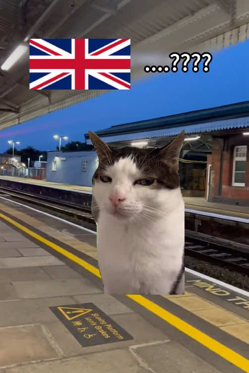 Train speed tier list:UK didn’t even show up😅#trains #uktrains #london #England #traindelays😤🇬🇧 