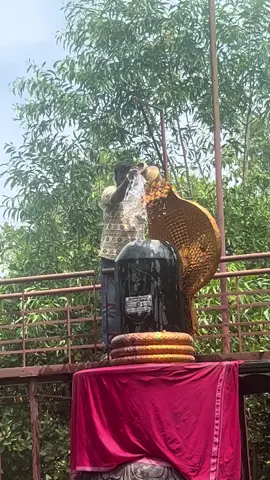 🕉️ Have you seen this temple with 1008 Shiva Lingams? 📍 Tucked away in the spiritual heart of Puducherry, this unique temple is a hidden gem that radiates peace and power. Each Lingam represents cosmic energy, devotion, and the infinite. 🌿 Clean, serene, and spiritually charged — the 1008 Siva Lingam Temple is a must-visit! 🙏 Feel the vibration. Walk the sacred path. Would you visit this place? #ShivaLingam #PuducherryDiaries #HiddenGemsIndia #SpiritualIndia #TempleTok #IndianCulture #ShivaVibes #1008Lingams #TravelIndia 