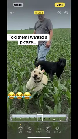 Bullet had other plans… 💨 #labradorretriever #zoomies 