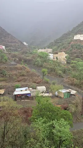 رجال المع كوخ العسل####
