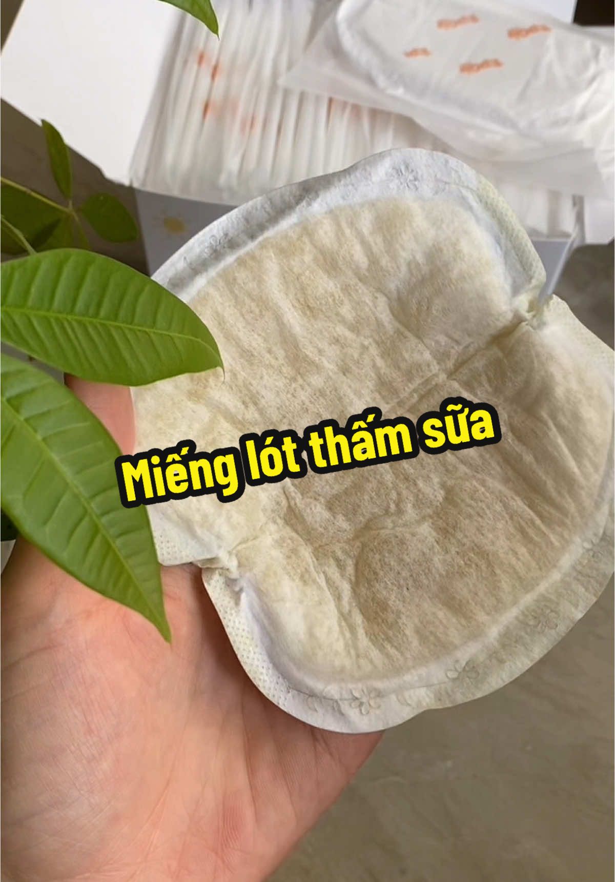 Miếng lót thấm sữa chân ái #mienglotthamsua #topgia #nhagogun #mebimsua 