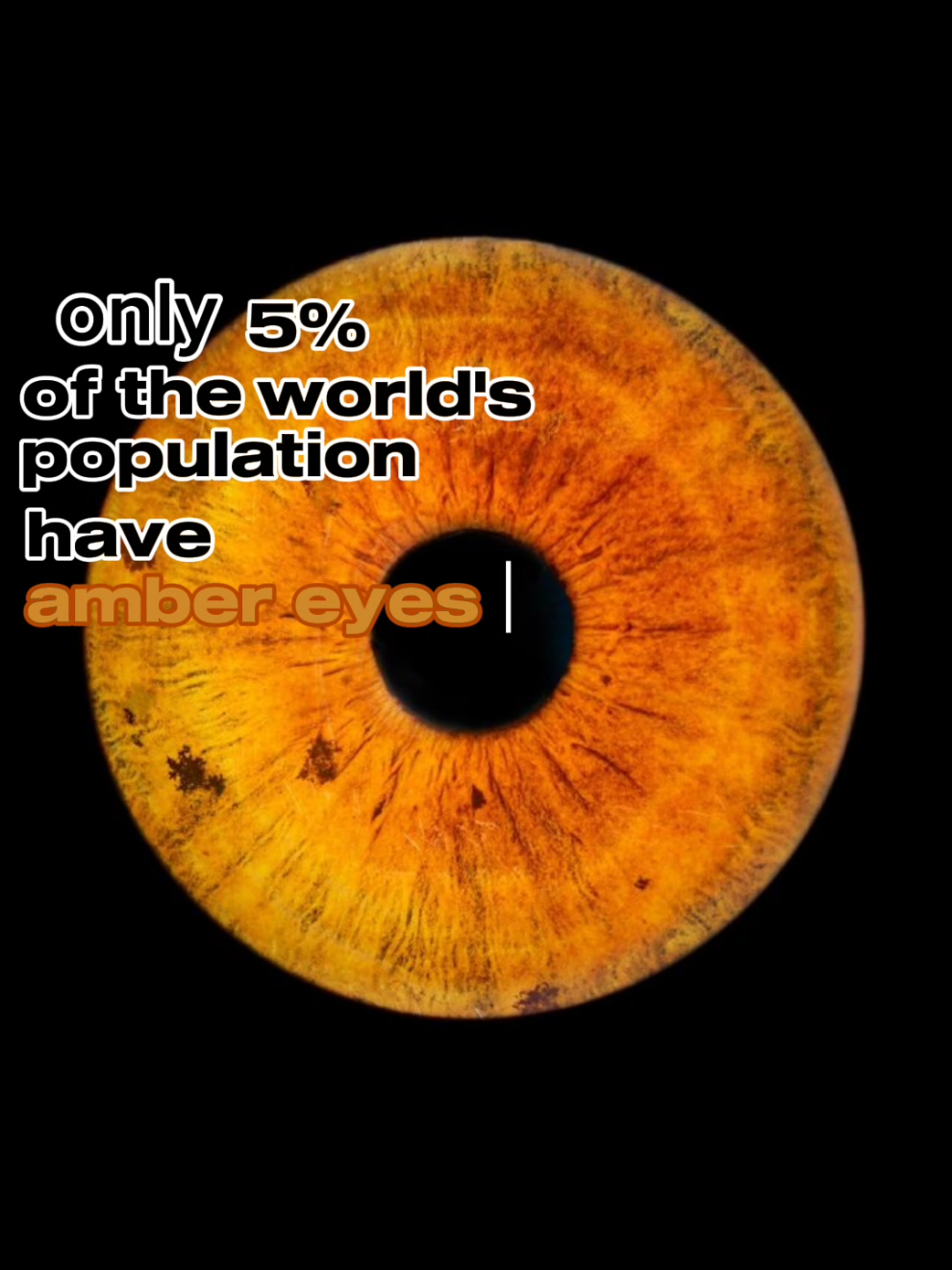 song name: let down by radio head |#ambereyes #amber #eyes #iris #yellow #brown #eye #colour #eye #eyecolour #preview #population #world #worldspopulation #letdown #radiohead #radio #head #5 % #5 #imlostinyouriris #trend #edit #fyp #capcut #fyp #foryoupage #fypp #fypsounds #fypdong #fypp #fyp #fypsounds #dontflop #famous #f #pleasegoviral #dontflop #save #f #fyppppppppppppppppppppppp 