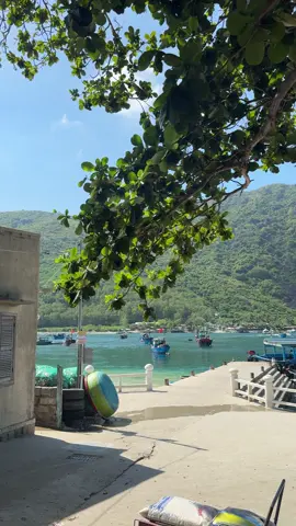 Người Nha Trang xin phép tự luỵ Nha Trang, hòn đảo nhỏ này xứng đáng được viral hơn 🥹 #checkin #dulich #trip #summervibes #beach #beachvibes #chill #healing #dulichvietnam #nhatrang #nhatrangreview 