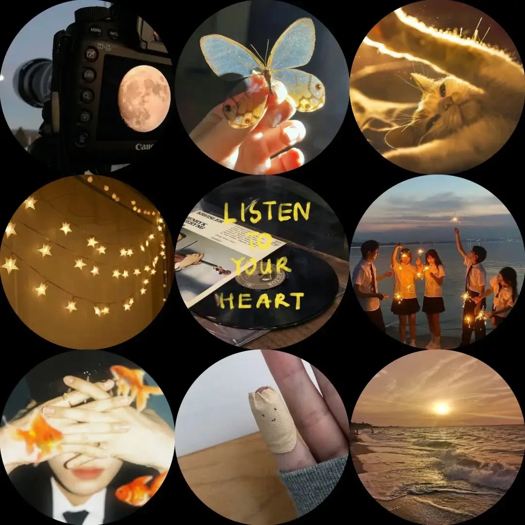 #Repost @miffy_muffy5 —— ⋆ Music is my therapy ⋆ ─ .✦  . . . #aesthetic #pinterest #butterfly #icon #lights #Love #moon #music #xybca #foryou #fyp @𝓐𝓼𝓼𝓪𝓵𝓪𝓶𝓾𝓪𝓵𝓪𝓲𝓴𝓾𝓶 