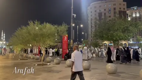يوم عرفه 🤍