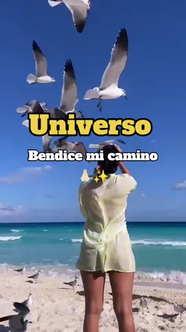 Amén amén Dios ☺️🙌💯🤍 #buenosdias #Dios #agradecida #parati #Viral #fyppppppppppppppppppppppp #paratiiiiiiiiiiiiiiiiiiiiiiiiiiiiiii #fouryourpage #graciasdios #Bendicionesparatodos 