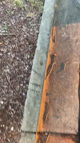 Up early wit da $hits! 💯 One thing I can’t stand is a mf KAREN!!! 😡 This Bi+ch gave my son a ride to work the other day, and when he got in the van, she said,”Dude your family can’t park!” Bet she’ll think twice before she opens her mouth next time! The only reason I said something because it pissed my son off. I thought it was funny fr. But u make my kids feel SOME TYPE OF WAY, I feel SOME TYPE OF WAY‼️ #fyp #foryou #goodmorning 
