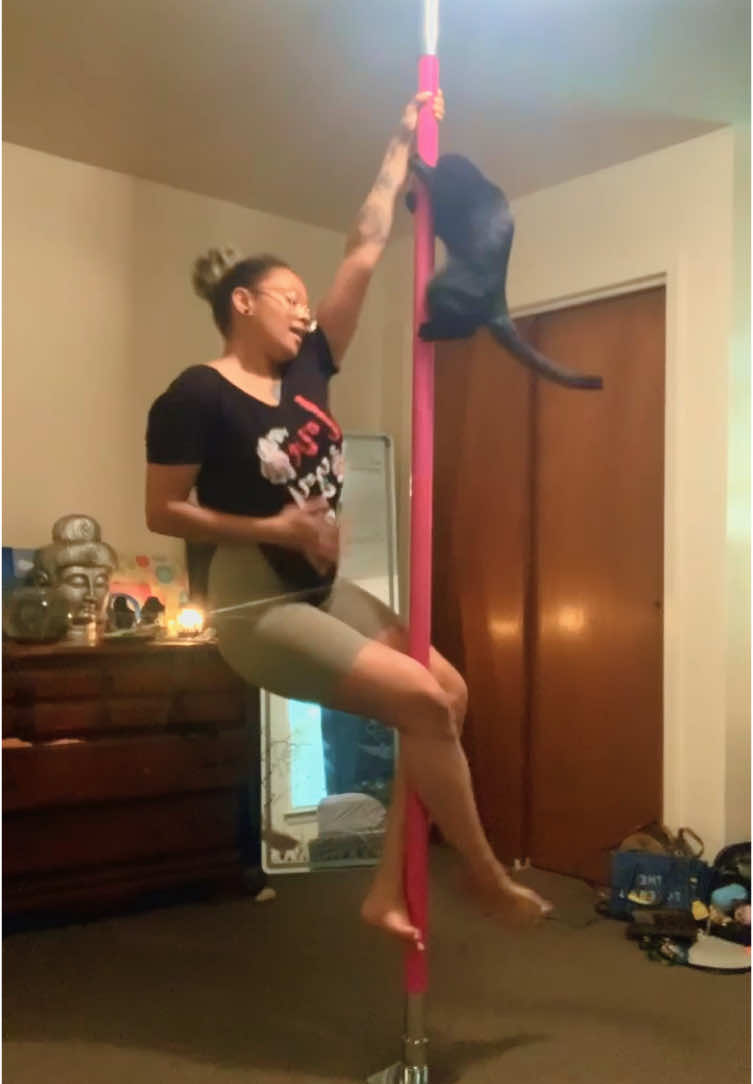 Watch us practice 🐈‍⬛💕🩰 #cat #poledancer #polekitty #viralcat #poledancing #fypシ゚viral #poledance #fypシ #gato #dancer #polepractice #poledoubles 
