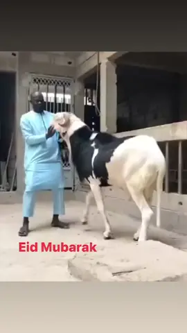 Eid Mubarak to everyone across the globe #eidmubarak #eid 