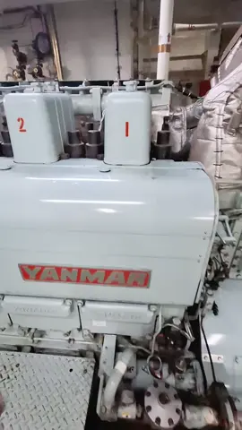 Calma😡motor yanmar#yanmar #engineering #diesel #ferry #barco #fyp #seafarer #marine #paratiiiiiiiiiiiiiiiiiiiiiiiiiiiiiii #teamwork 
