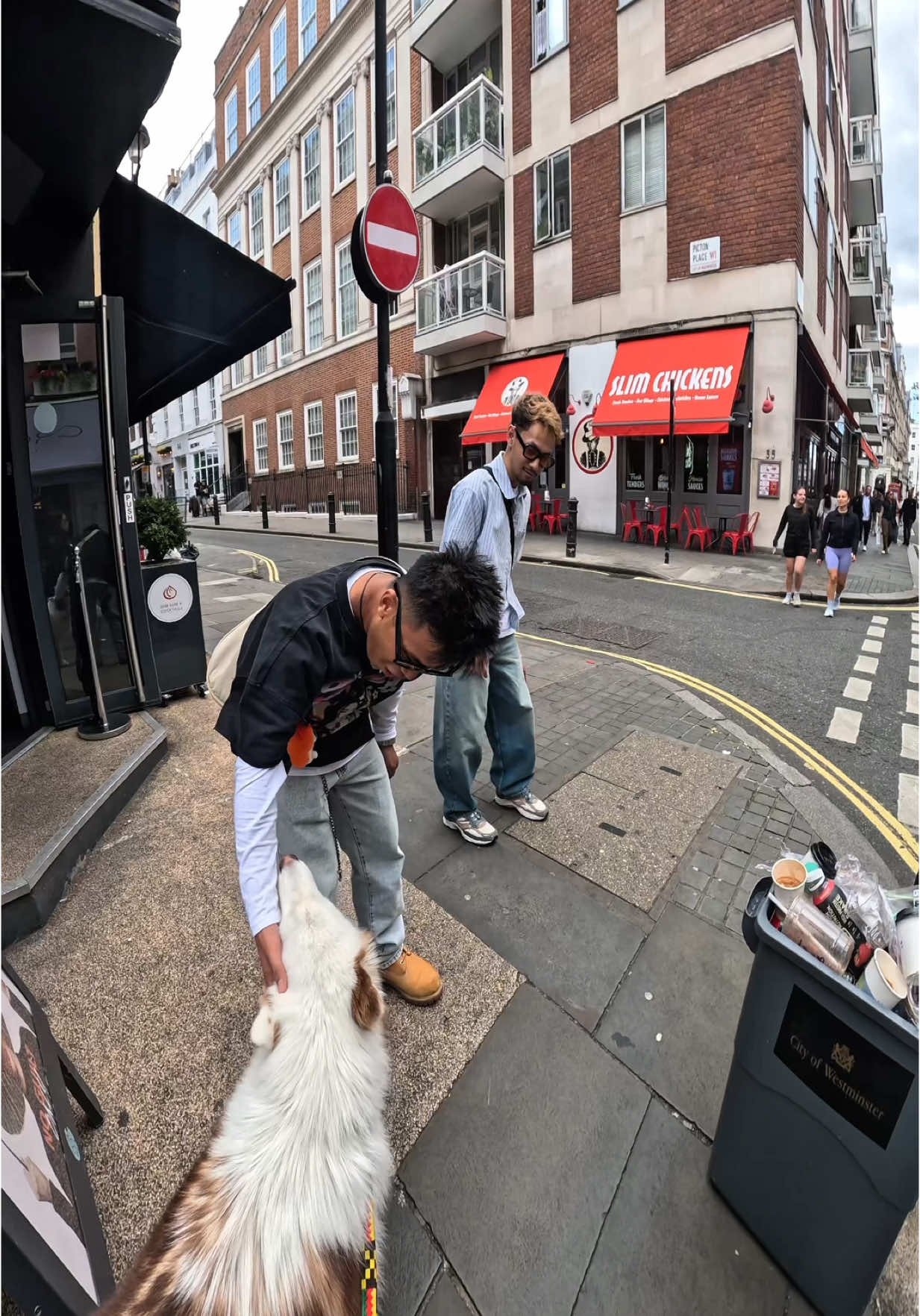 Interactions with my dog!!  #husky #viola #pets #london #viral #doglover #fyp #foryou #famous 