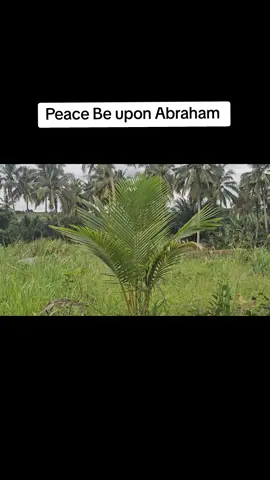 #quranrecitation #quran_alkarim @Eesa Muhammad/ Qari @Abdul Rahman Larry 🇬🇭🇨🇦 @Ibn Mashood @Ali @Haxan 