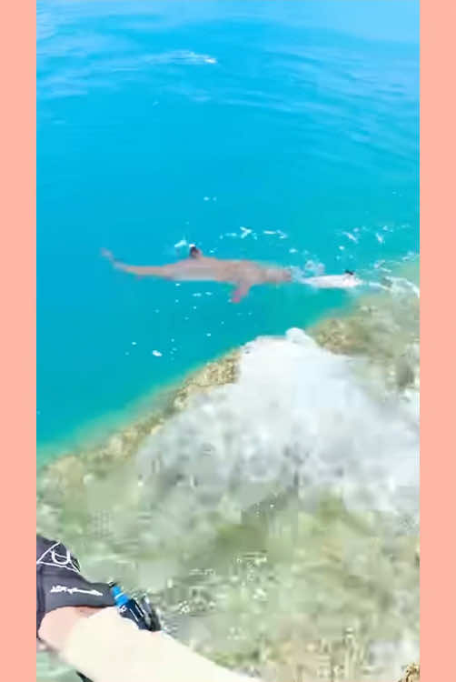 #fish #fishing #adventure #tourism #bigfish #camping #camp