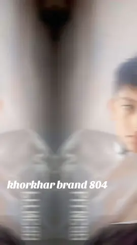 mohsi khokhar jhang ala khokhar brand 804