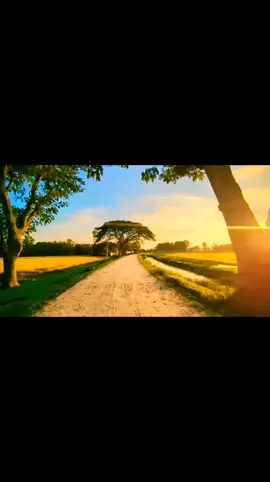 [sakib al hasan]🤍💫 এই দুনিয়ায় কেউ আপন না।  #tiktok?bangladesh #fyp #bdtiktokofficial #vppppppppppppppppppppp #everyone #foryou #foryou #viraltiktok #islamictiktok #islamic #islamic_video #foryoupageofficiall 