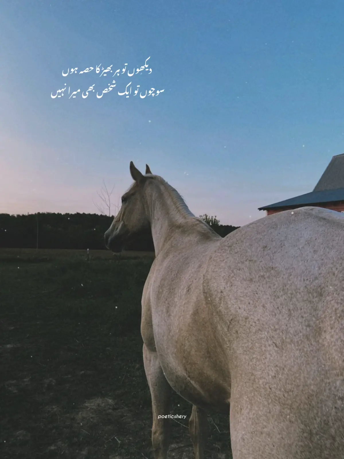 #foryou #trending #poeticshery 