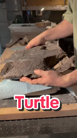 Jukes the prehsiotric turtle! My friends and I found and dig this up in South Dakota, Hell Creek Formation. This turtle walked with dinosaurs. 