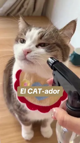 El si le sabe. #comedia #doblaje #animals #gato 