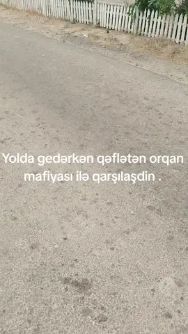 heç kim evdən çıxmasin 