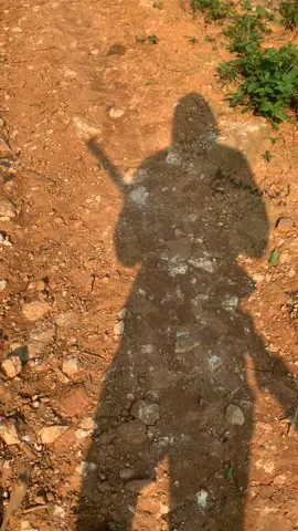 Đam mê không thể bỏ 🐿️