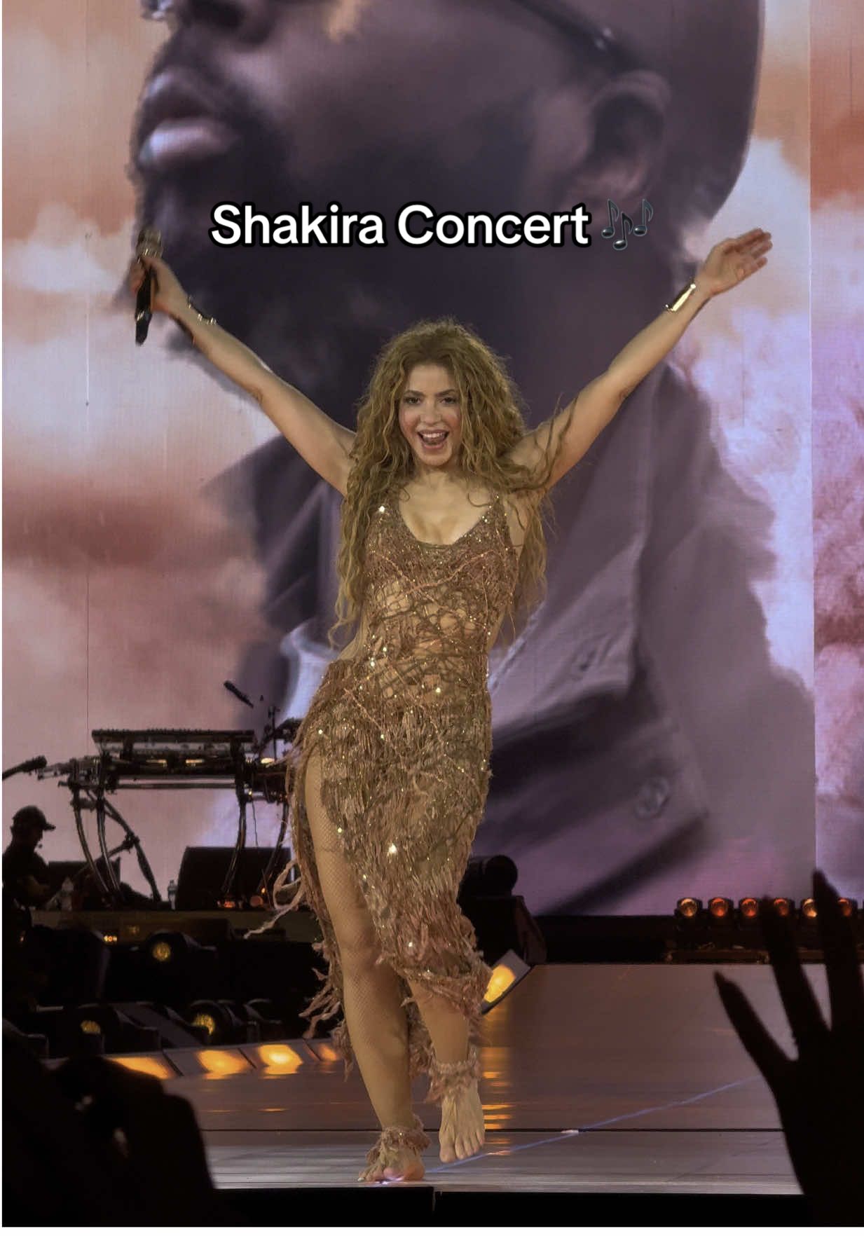 her hips don’t lie yall #shakira #hipsdontlie #orlando #campingworldstadium #lasmujeresyanolloran #orlandoflorida #shakiraconcert 