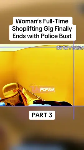 Woman’s Full-Time Shoplifting Gig Finally Ends with Police Bust	 Part 3 #cops #copsoftiktok #police #policeofficer #bodycam #crime #truecrime #truestory #foryou #fyp