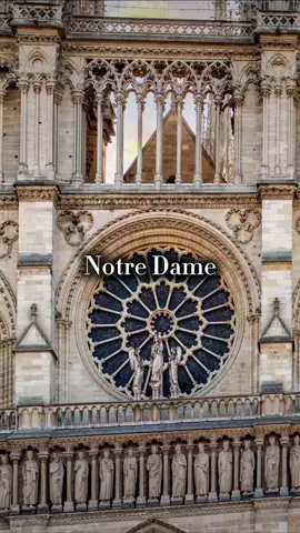 “Symbole éternel de Paris… Malgré les flammes, elle se relève.”NotreDameDeParis #P#ParisIncontournableM#MonumentHistoriqueP#ParisVibesC#CathédraleH#HistoireDeFranceT#TravelFranceV#VisiteParisF#FrenchHeritageG#GothiqueP#Paris2025T#TourismeParisLieuxMagiques