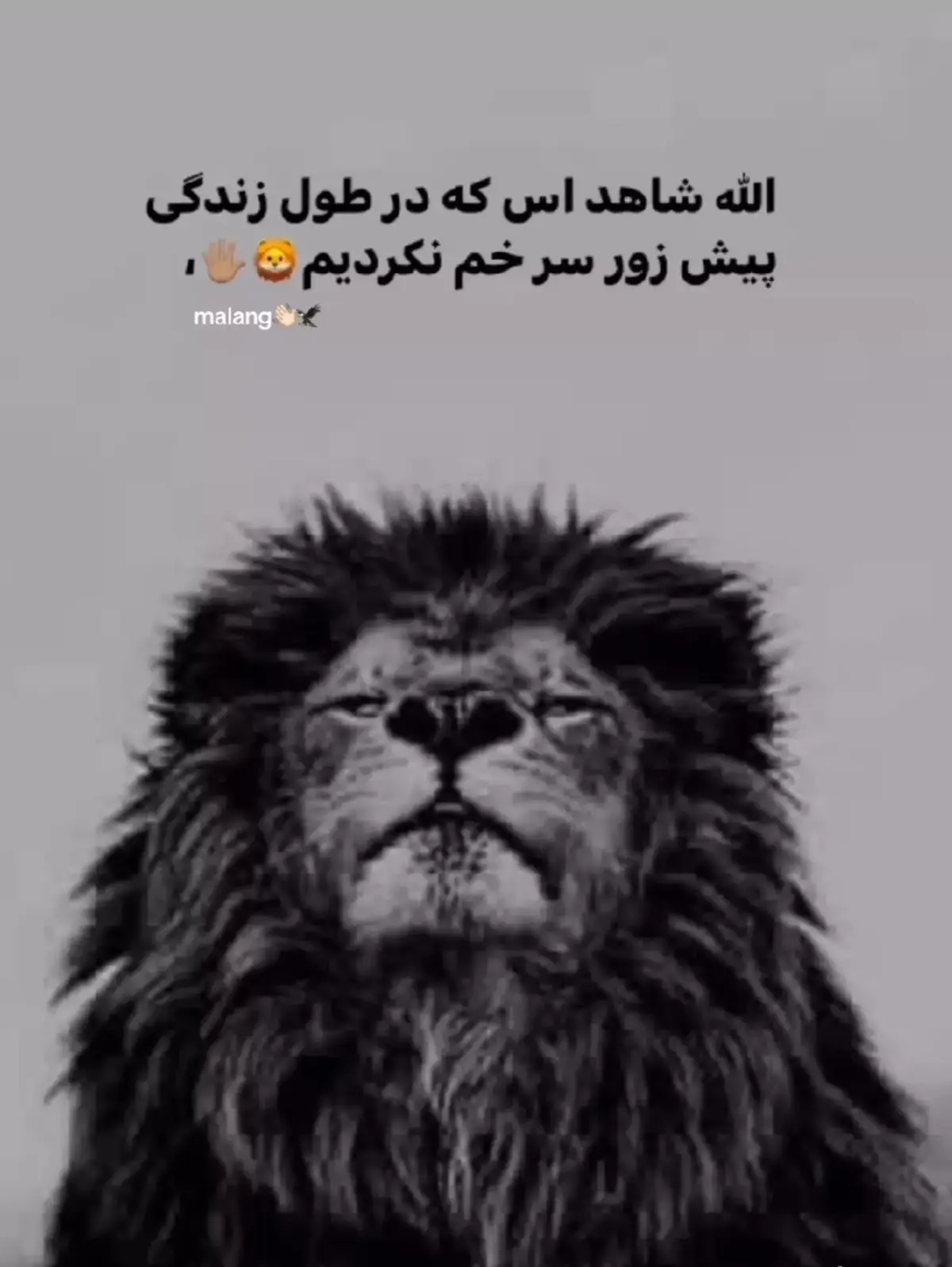 #پشتون_تاجیک_هزاره_ازبک_زنده_باد🇦🇫 #پشتون_تاجیک_هزاره_ازبک_زنده_باد🇦🇫 