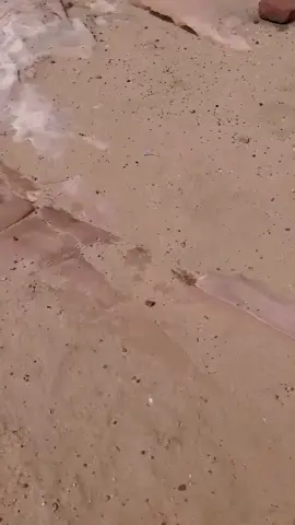#اكسبلور 