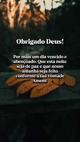 Uma noite abençoada na presença de Jesus Cristo 🙌❤️ #boanoite #reflexão #gratidão #Deus #frasesmotivadoras #status 