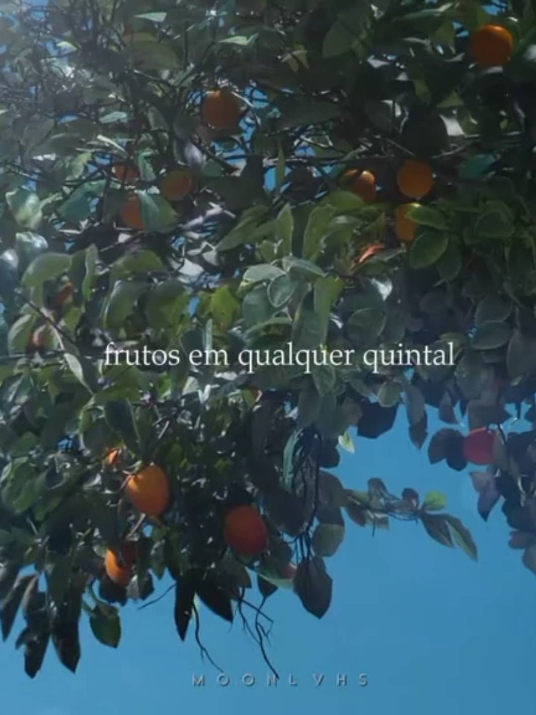 — Vilarejo. 🏡🍊 scp: kdscnepacks | #whenlifegivesyoutangerines #seavidatedertangerinas #kdrama #kdramaedit #foryoupage #fyp #viral #moonlvhs #iu #parkbogum 