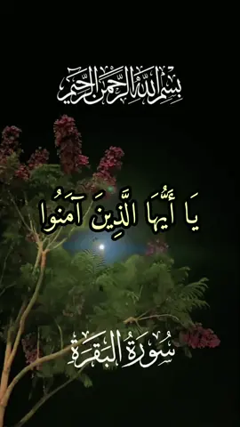 #القرآن_الكريم #يا_أيها_الذين_آمنوا_ادخلوا_في_السلم_كافة #سورة_البقرة #عبد_الباسط_عبد_الصمد #الحنجرة_الذهبية #quran_alkarim #تلاوات_خاشعة #تلاوات_قرآنية #آيات_قرآنية #islamic_video_الله #fypシ゚viral #foryoupwge #eidmubarak #راحة #اجر_لي_ولكم #أرح_سمعك_وقلبك #الذكر_الحكيم #اكسبلورexplore 
