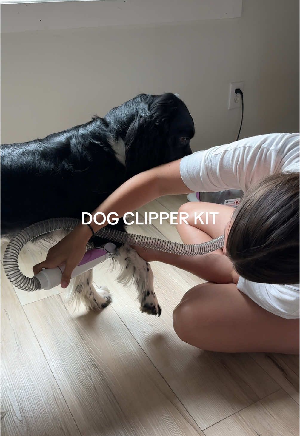 Um okay this is AMAZING!!! This is going to save us HUNDREDS 👏🐶🐾 #TikTokShop #tiktokshopcreatorpicks #foryoupage #tiktokshopfinds #fyp #doggrooming #doggroomer #dogclippers #clippers #trimmer #dogmusthaves #dogsoftiktok #dogmom #budgetfriendly #moneysavingtips 