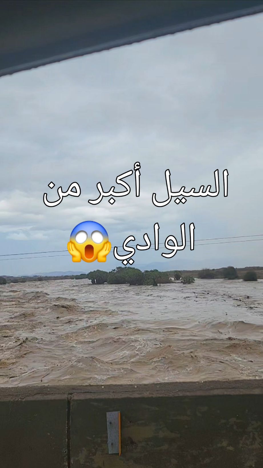 #جيزان_صامطه_صبيا__بيش #الريث__اكسبلور #fy #fypシ #fypシ゚viral #tiktok #fyfyfyfy #fyp #f #ترند #باكستان 