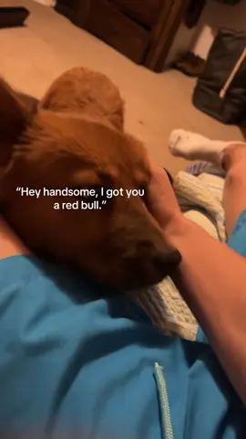 #redbull #dog #teeth #fyp #relatable 