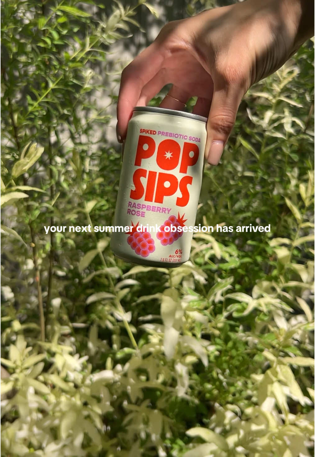 jaw dropped to the floor with these (and then my mom stole mine which is always a good sign) @PopSips ROUND OF APPLAUSE 👏🏼 #summerdrinks #cocktails #cannedcockails #healthydrinks #summerdrinks #trending #creatorsearchinsights 