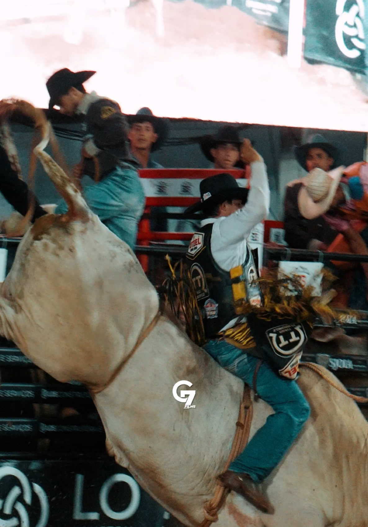157/365 vídeos todos os dias 🤠 #modao #montariasemtouros #cowboy #rodeio 