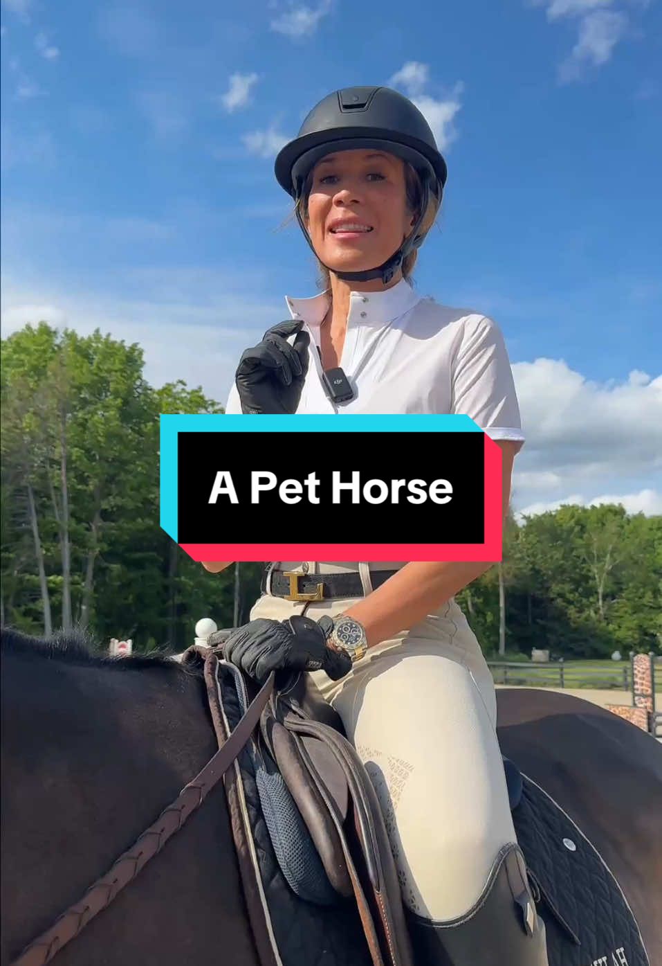 This is how much it costs to own a horse every single year  $🐴🐎 #horse #horses #money  #horsesoftiktok #horseriding #money #luxury