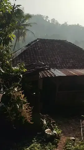 terjadi kebakaran di kp. pojok bolang desa girimukti#kebakaranrumah #pyf #musibah_yang_takterduga 